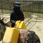YWU-Women Is The First Affected By The Aggression