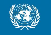 UN Security Council Rejects Sweden’s Plan for End to Yemen Battle