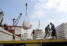 Report: Over $700 million worth of wheat imported into Yemen every year