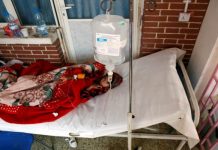 West Nile Virus appears in Taiz