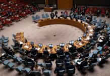 Security Council’s statement on UAE military ship biased in favor of influential countries: FM