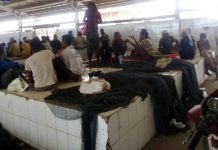 Fifty Yemeni fishermen arriv in Hodeidah after being released from Eritrean captivity