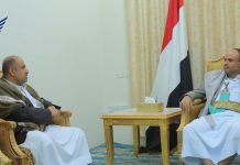 Al-Mashat stresses on preserving agricultural areas