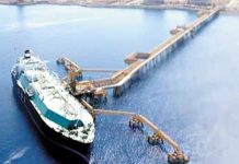 UAE occupation arrests sheikhs in Shabwah for opposing continued looting of Yemeni wealth