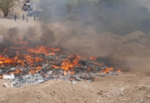 25 tons of smuggled and expired medicines were destroyed