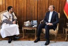 Yemen Ambassador Meets Iranian Foreign Minister