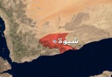 Number of children, women killed, injured due to bomb explosion in Shabwah