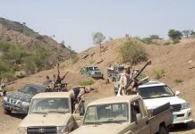 STC Forces Attempt to Assassinate A Tribal Sheikh in Lahj