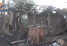 Fire devours homes of displaced in Hodeidah