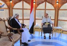 President Al-Mashat meets with Deputy Chairman of Shura Council