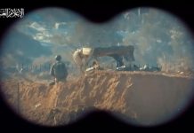 Resistance strikes cause deaths and injuries among the occupation ranks in Gaza