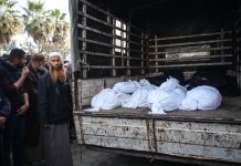 Ministry of Health: 86 Palestinians killed in the Israeli aggression in the past 24 hours