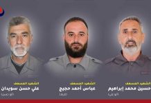 Zionist airstrike kills three paramedics in south Lebanon