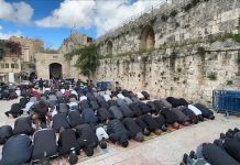 80,000 worshipers attend Friday prayers at Aqsa Mosque