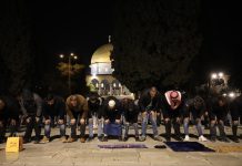Israeli occupation police obstruct Palestinian worshipers’ access to Al- Aqsa Mosque