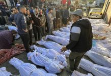 Gaza Health Office :33,037 martyrs and 75,668 wounded death toll of the aggression on Gaza