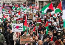 Protests in support of Gaza continue in Europe