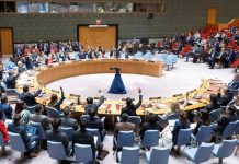 UNSC adopts US resolution calling for immediate, full and complete ceasefire