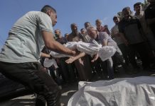50 Palestinians killed, 150 injured in Israeli massacres in Gaza in the past 24 hours