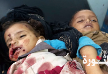 Health Minsitry condemns the crime of mercenaries in Taiz
