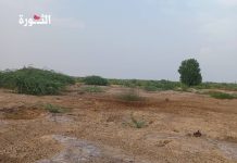 Citizen killed by explosive ordnance leftover by aggression forces in Hodeidah