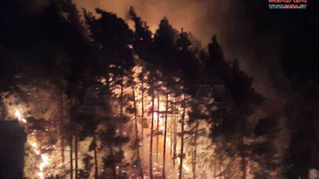 Israeli aggression on Syria kills at least 14 civilians