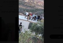 Two people killed in Israeli strike in southern Lebanon
