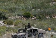 Israeli enemy Detain Two Syrian Youths