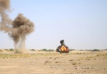 YEMAC Destroys 260 Antivehicle Landmines In Hodeidah