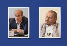 Deputy Foreign Minister meets UN Regional Coordinator