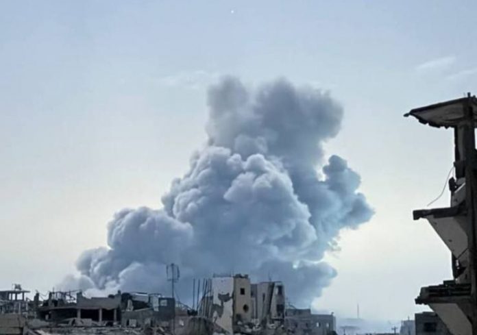 img-6668-1765004087 (1)