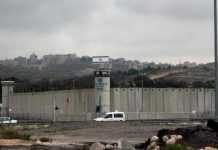 Palestinian Prisoner Dies in Israeli Custody