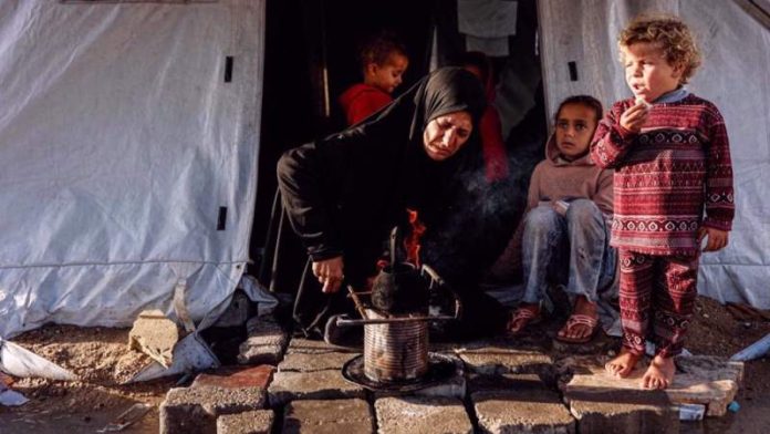 13953a326fa48b229576713536c710b8