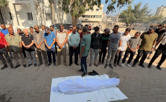 IMG_20260122_155225_121