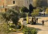 Eleven students injured during Israeli raid on Birzeit University in Ramallah