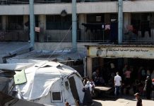 UNRWA: 600,000 Children in Gaza Deprived of Education for Two Years