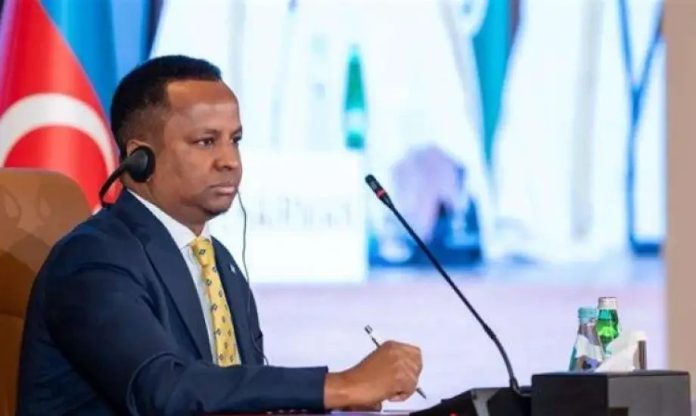 وزير-الخارجية-الصومالي