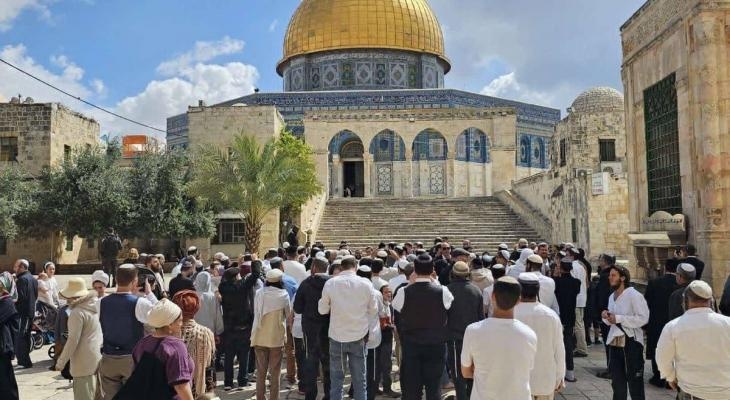 96 Zionist settlers storm Al-Aqsa Mosque