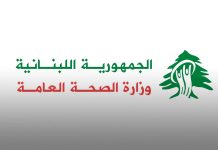 Lebanon: One killed & another critically injured after Israeli airstrike in Shebaa