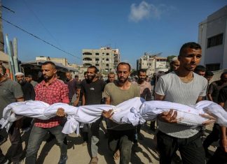 Two Palestinians killed in Israeli bombardment across Gaza