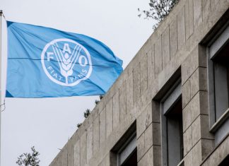 FAO: Global food prices declined in May