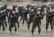 Israeli army acknowledges resistance fighter crossed border, opened fire at troops