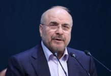 Iran: Israeli aggression against Dahiyeh shows US lacks will, ability to fulfill commitments