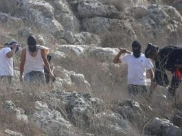 Four Palestinians injured, nine arrested in West Bank raids and attacks