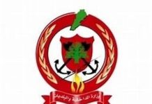 Lebanese Civil Defence recovers 13 bodies in southern Lebanon