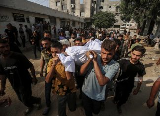 Eight Palestinians killed in continued Israeli strikes on Gaza