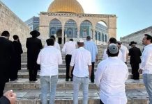Dozens of extremist Jewish settlers defile Al-Aqsa Mosque