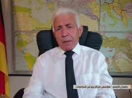 German Research Center Head: Yemen’s mass rallies mark turning point, message reached Washington before Riyadh
