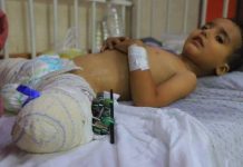 WHO: More than 43,000 injured in Gaza