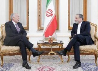 UN special envoy for Lebanon discusses regional developments with Iranian FM